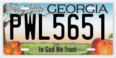 GA license plate PWL5651