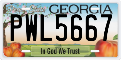 GA license plate PWL5667