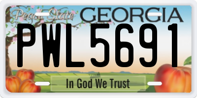 GA license plate PWL5691