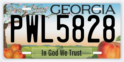 GA license plate PWL5828