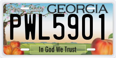 GA license plate PWL5901