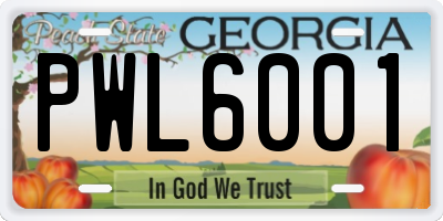 GA license plate PWL6001