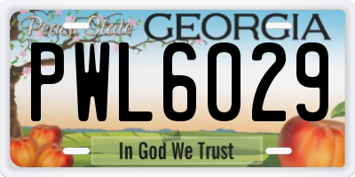 GA license plate PWL6029