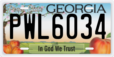 GA license plate PWL6034