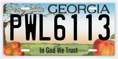 GA license plate PWL6113