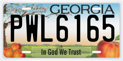 GA license plate PWL6165