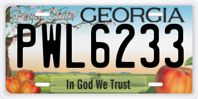 GA license plate PWL6233