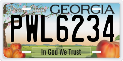 GA license plate PWL6234