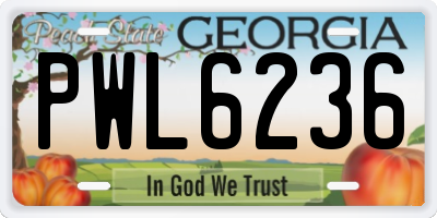 GA license plate PWL6236