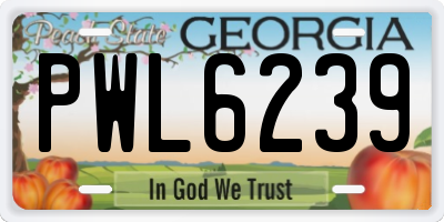 GA license plate PWL6239