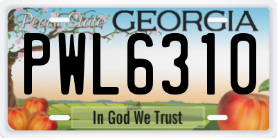 GA license plate PWL6310