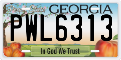 GA license plate PWL6313