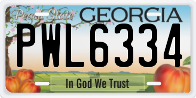 GA license plate PWL6334