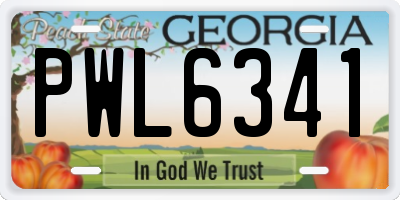 GA license plate PWL6341