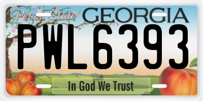 GA license plate PWL6393