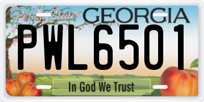 GA license plate PWL6501