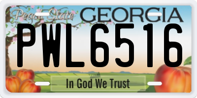 GA license plate PWL6516