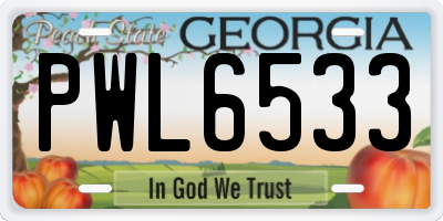 GA license plate PWL6533