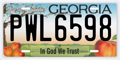 GA license plate PWL6598