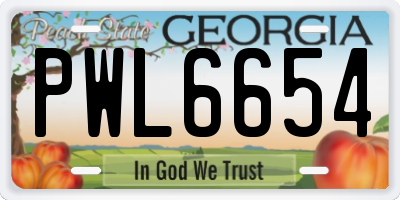 GA license plate PWL6654