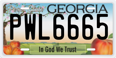 GA license plate PWL6665