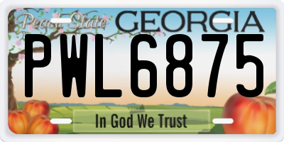 GA license plate PWL6875