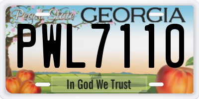 GA license plate PWL7110
