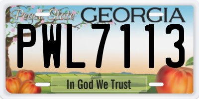 GA license plate PWL7113