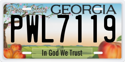 GA license plate PWL7119