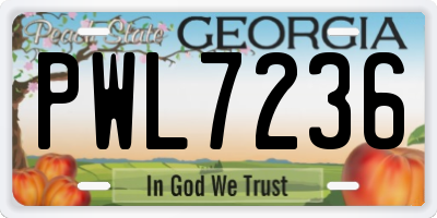GA license plate PWL7236