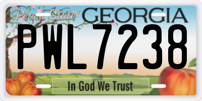 GA license plate PWL7238