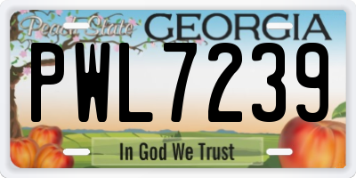GA license plate PWL7239