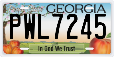 GA license plate PWL7245