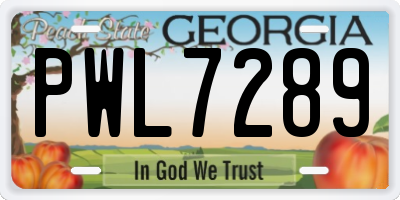 GA license plate PWL7289