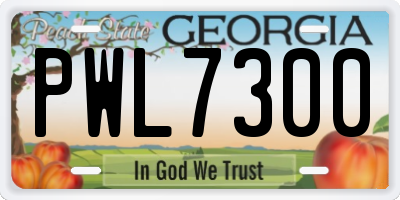 GA license plate PWL7300
