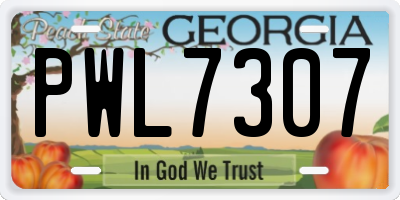 GA license plate PWL7307