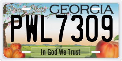 GA license plate PWL7309