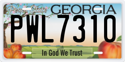 GA license plate PWL7310