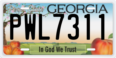 GA license plate PWL7311
