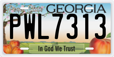 GA license plate PWL7313