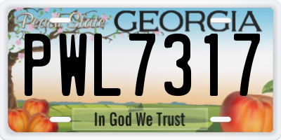 GA license plate PWL7317