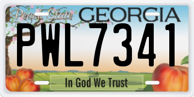 GA license plate PWL7341