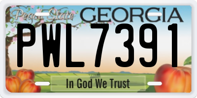 GA license plate PWL7391