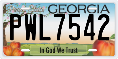 GA license plate PWL7542