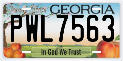 GA license plate PWL7563