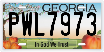 GA license plate PWL7973