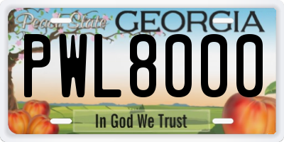 GA license plate PWL8000