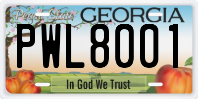 GA license plate PWL8001