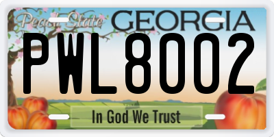 GA license plate PWL8002