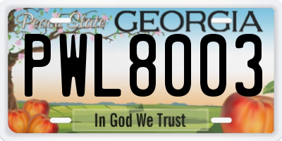 GA license plate PWL8003